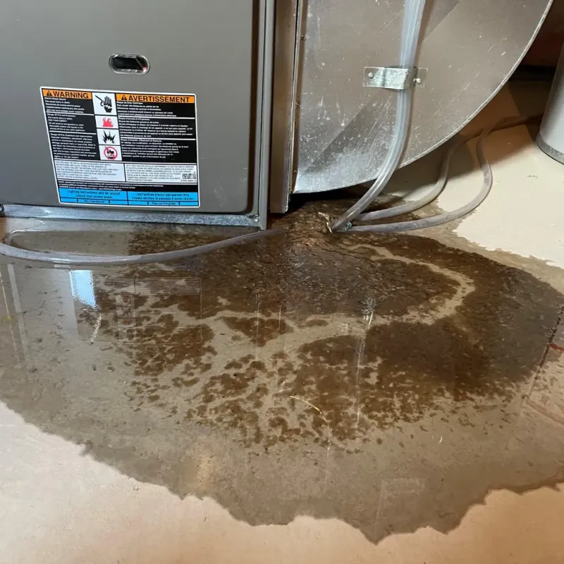 Appliance Leak Cleanup in Thermopolis, WY